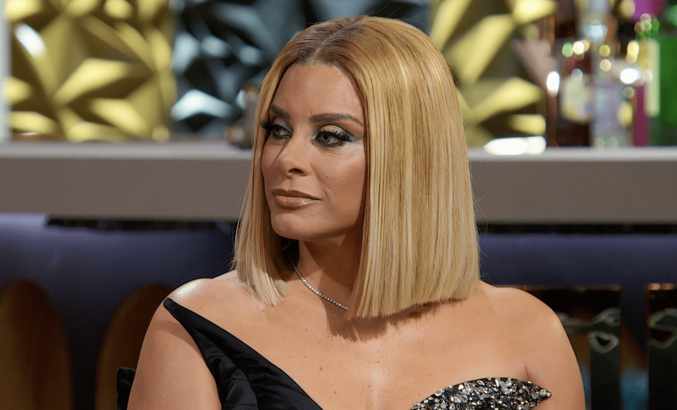 Robyn Dixon RHOP Reunion Season 8